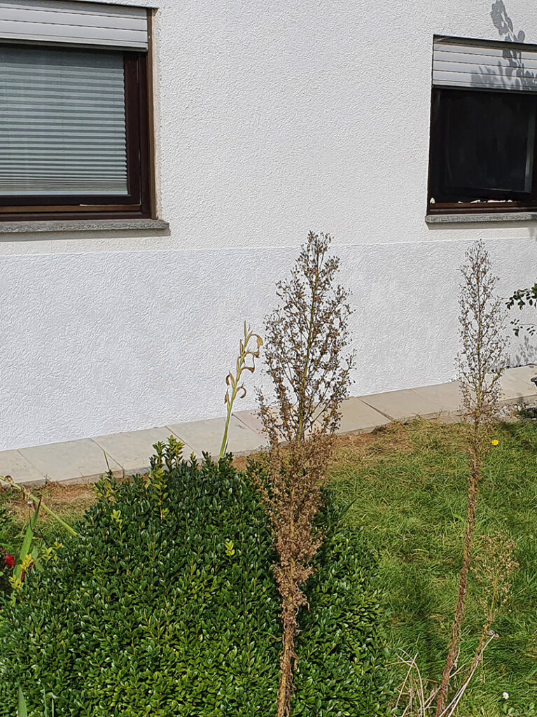 kewabo® deutschland gmbh frankfurt referenzen